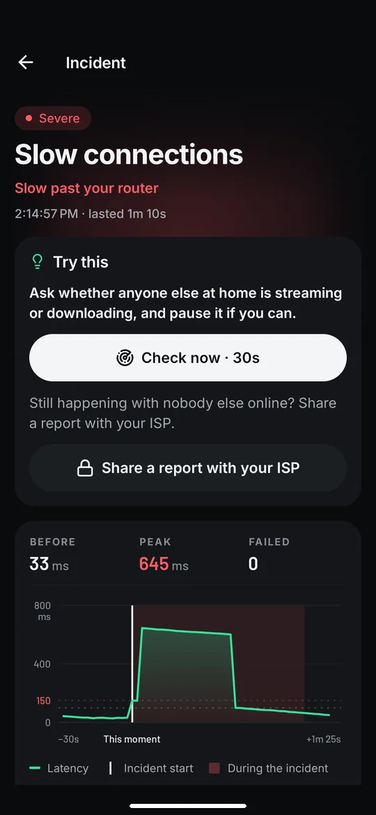 NetPulse: See what happened